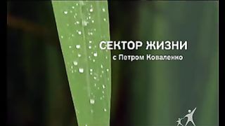 Сектор жизни с Петром Коваленко 23