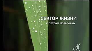 Сектор жизни с Петром Коваленко 29