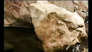 Сектор жизни с Петром Коваленко 34