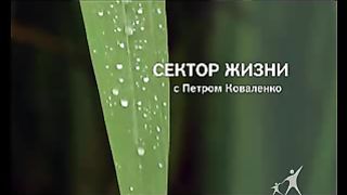 Сектор жизни с Петром Коваленко 45