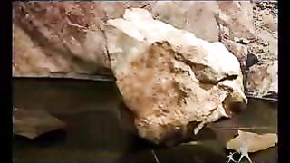 Сектор жизни с Петром Коваленко 48