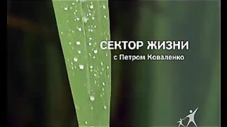 Сектор жизни с Петром Коваленко 49