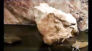 Сектор жизни с Петром Коваленко 49