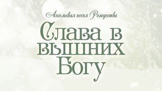 Алексей Коломийцев - Слава в вышних Богу
