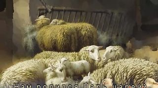 Наталья Лансере - Рождество Царя