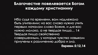 Виталий Рожко - Упражняй себя в благочестии