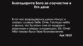 Алексей Коломийцев - Полноценная радость 2