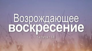 Алексей Коломийцев - Возрождающее воскресение