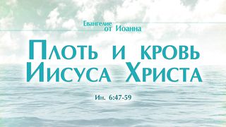 Алексей Коломийцев - Плоть и кровь Иисуса Христа