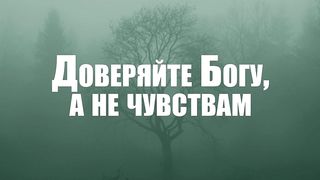 Вениамин Портанский - Доверяйте Богу, а не чувствам