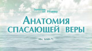Алексей Коломийцев - Анатомия спасающей веры