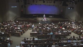 Дмитрий Ниделенко - Небесная любовь