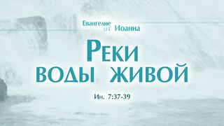 Алексей Коломийцев - Реки воды живой