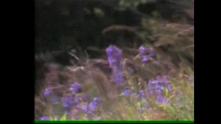 ИИСУСА ДЕРЖИСЬ