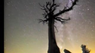 ВСЕ СТВОРЕНЕ ТОБОЮ Збірка духовних пісень