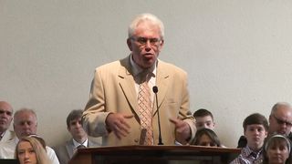 Михаил Савин - Миротворцы