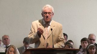 Михаил Савин - Миротворцы