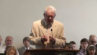 Михаил Савин - Миротворцы