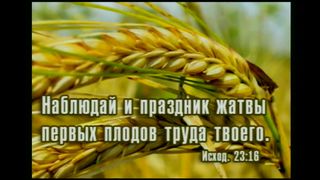 Сергей Витюков - Обзор Послания Иакова 2