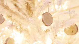 Марин и Марина Севастиян - Рождество