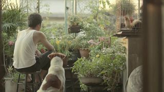 Каждый день