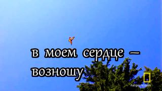 Свои руки к небу