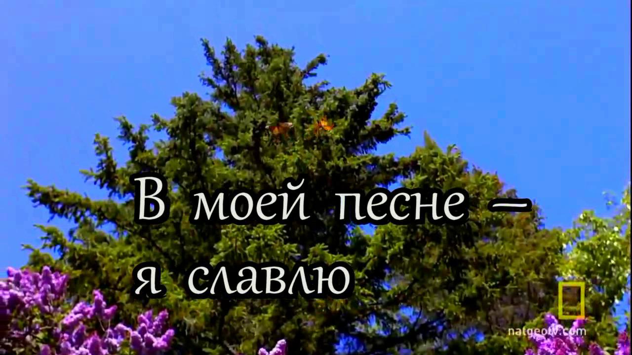 Читать онлайн «Иди к свету. Часть 3», Татьяна Керн – Литрес