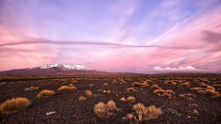 В каждом пульсе сердца Твоего