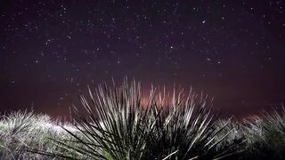 MystTerra - Рождественская