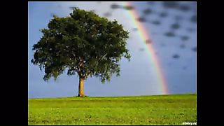 Что такое церковь?