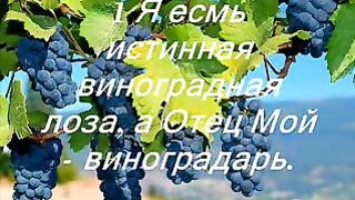 Антикризисная инструкция