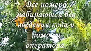 Антикризисная инструкция