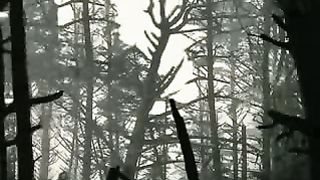 Методы решения конфликтов