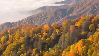 Божественная мудрость