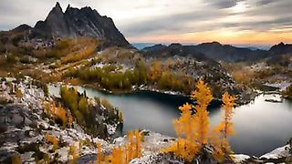 Божественная мудрость