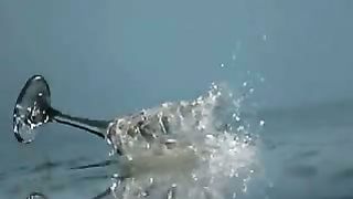 Позиция - Экология духа - Иван Лещук 2