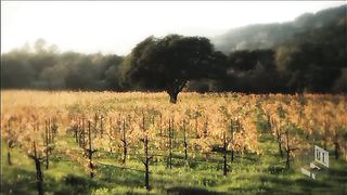 Угол - Лариса Лысак - Исцеление через елеепомазание 1