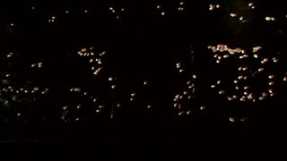 Та сторона - Пророча кава (тізер)