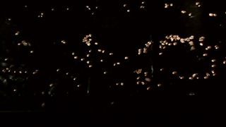 Та сторона - Пророча кава (тізер)