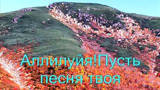 Людмила Вознярская - Аллилуйя Богу сил