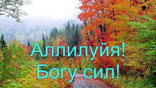 Аллилуйя Богу сил Ofra Hasa