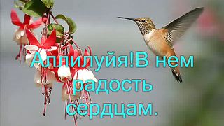 Аллилуйя Богу сил Ofra Hasa