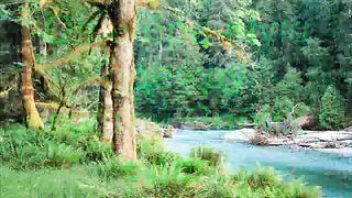 Господь нас на распутье блуждающих сыскал