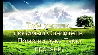 К небесной отчизне свой взор направляю