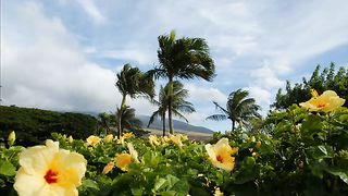 Когда Божий мир наполняет сердца