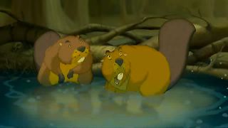 Ковчег любви