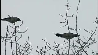 Измени свой мир - Дружба и предательство 1