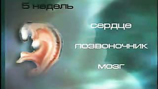 Измени свой мир - Правда об абортах 1
