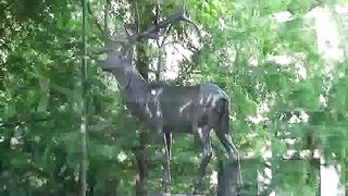 Илья Коваленко - Родные люди