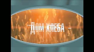 Александр Шевченко - Закономерность пользы и святости